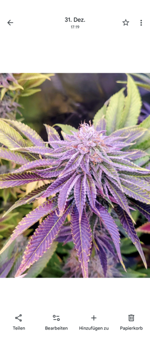 Image #22012637335234458