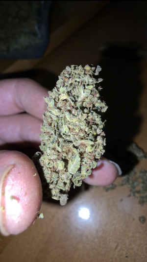 Gelato #41's picture by stakkat0