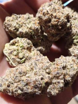 Purple Punch's picture by ShaggNasty421