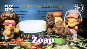 An image of Zoap