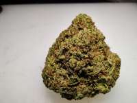 An image of GG #4