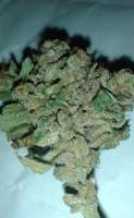 An image of Sour Diesel