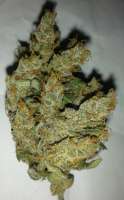 An image of Sour Diesel