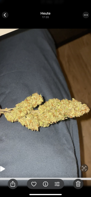 An image of Wedding Cake