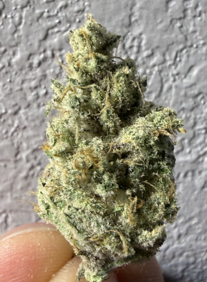 An image of Goth Girl