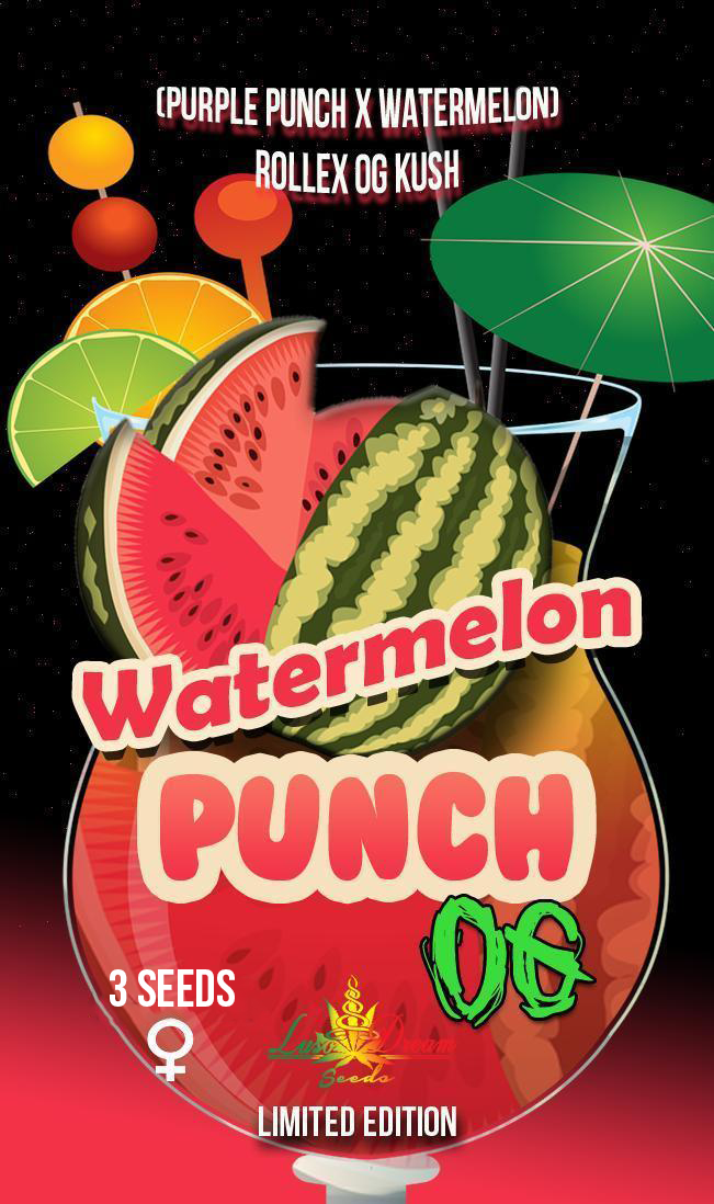 An image of Watermelon Punch OG