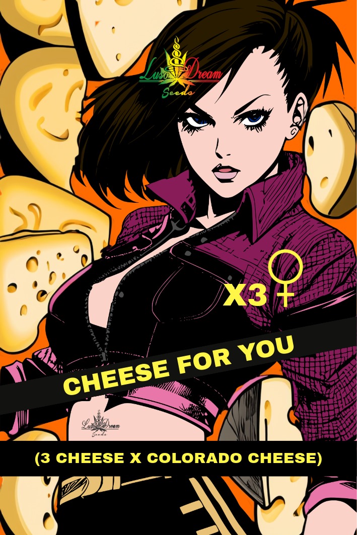 An image of Cheese For You