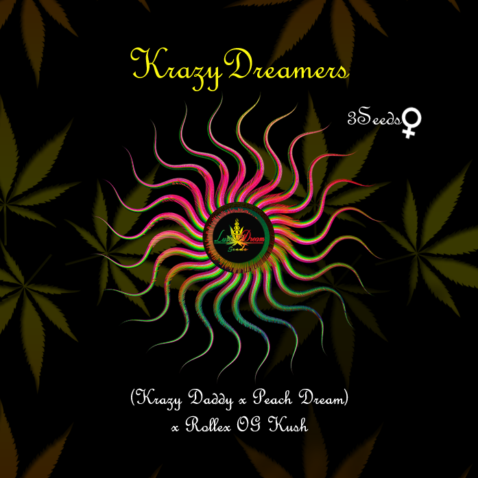 An image of Krazy Dreamers