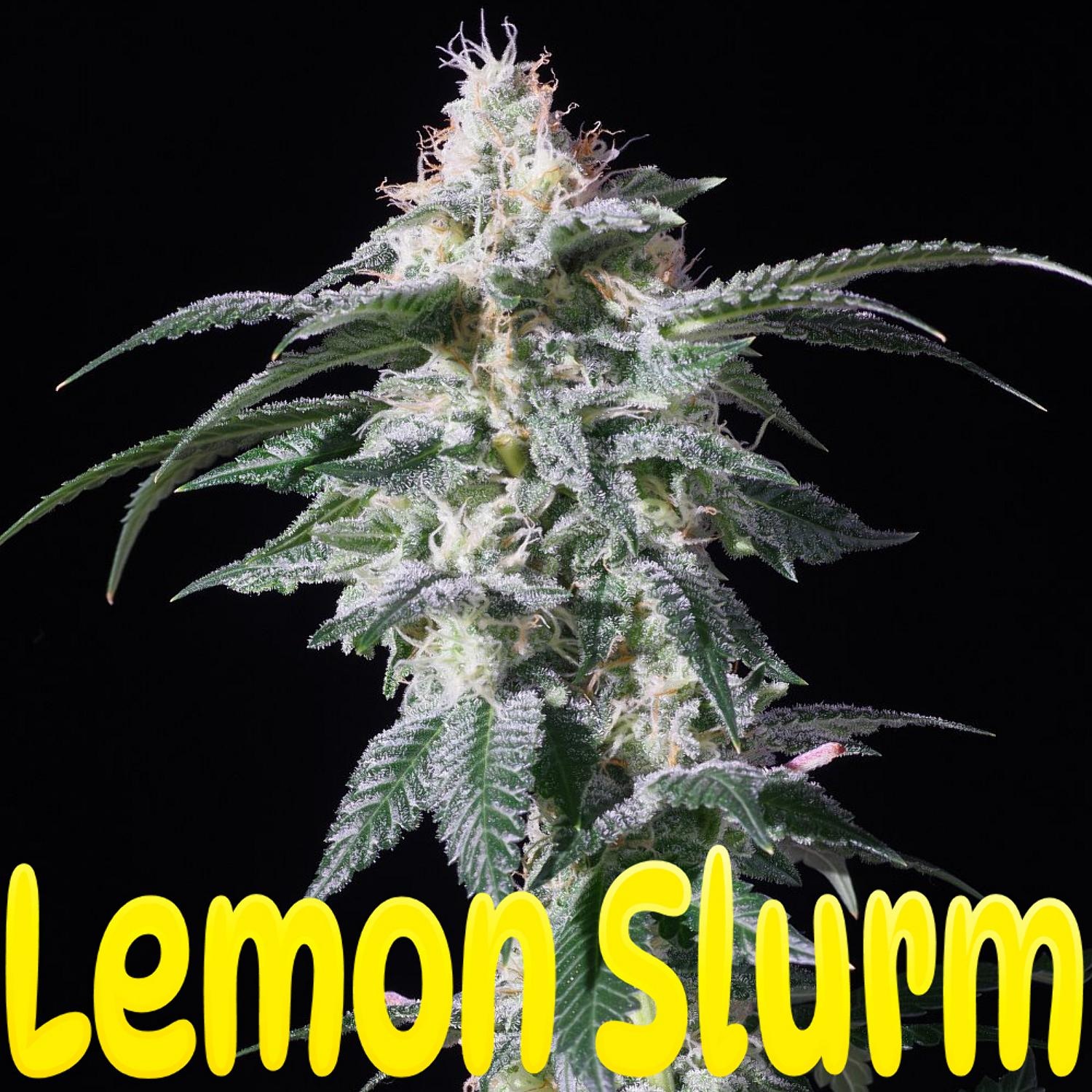 An image of Lemon Slurm