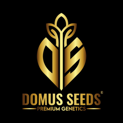 DomusSeeds's profile image