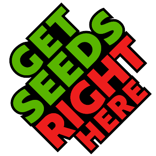 GetSeedsRightHere's profile image