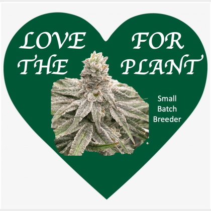 Lovefortheplant's profile image