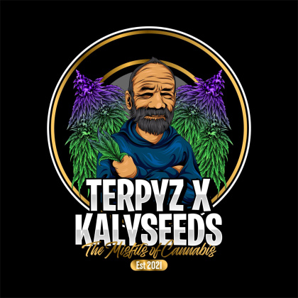 TerpyZ's profile image