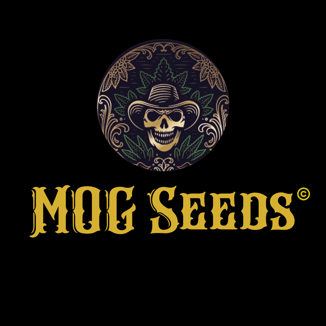 mogseeds's profile image