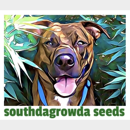 southdagrowda's profile image