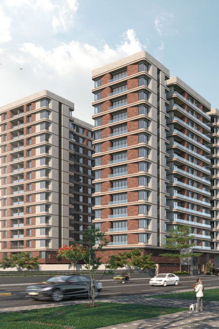 springh's profile image