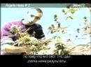 Green House Seed Arjan's Haze#2 Grow with Russian Subtitles thumbnail