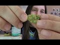 Dan's 420 Chronicles - Strawberry Milk / Weed Review 2/11/22 thumbnail