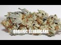 Organic SLURRICANE Strain Review (Inhouse Genetics) | Strongest Cannabis Strain? thumbnail