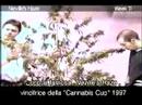 Green House Seed Co. Neville's Haze Grow w/Italian Subtitles thumbnail