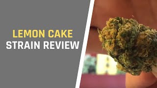 LEMON CAKE STRAIN REVIEW thumbnail