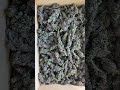 Auto Blueberry Divine Seeds Cannabis Indoor grow thumbnail