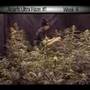 High Times Cup Crop Grown by Green House 2006 Amsterdam thumbnail