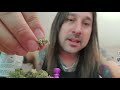 Dan's 420 Chronicles - Sundae Sunset / Weed Review 3/5/21 thumbnail