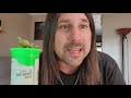 Dan's 420 Chronicles - Citrus Sap (Top Self) / Weed Review 7/30/21 thumbnail