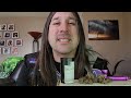 Dan's 420 Chronicles - Lemon Cherry Gelato / Weed Review [Live] 4/8/22 thumbnail