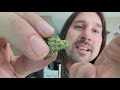 Dan's 420 Chronicles - Gary Payton / Flower Review 9/3/21 thumbnail