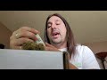 Dan's 420 Chronicles - Fruity Pebble OG / Weed Review 4/16/21 thumbnail