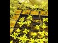 APTUS and SPLIFFSEEDS super skunk E2 thumbnail