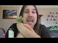 Dan's 420 Chronicles - Ghost Dawg / Weed Review in Pueblo 3/11/22 thumbnail