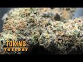 Meat Breath Toking Tuesday thumbnail