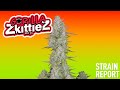 Gorilla Zkittlez | Strain Report thumbnail