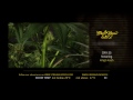 Kings Kush - Green House Grow Sessions thumbnail