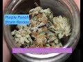 Purple Punch Strain Review | 100% Organic Living Soil Grown Cannabis thumbnail